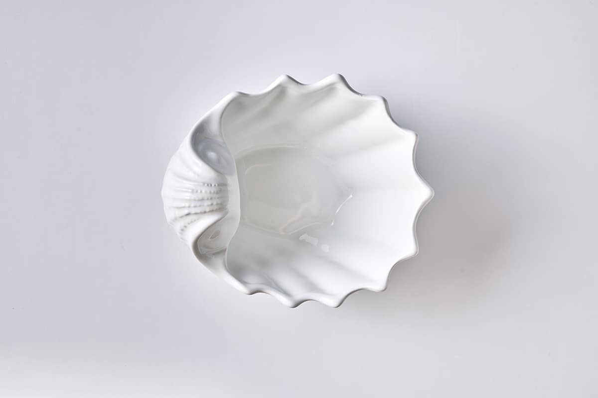 קונכייה קטן לבן - פיית השולחן