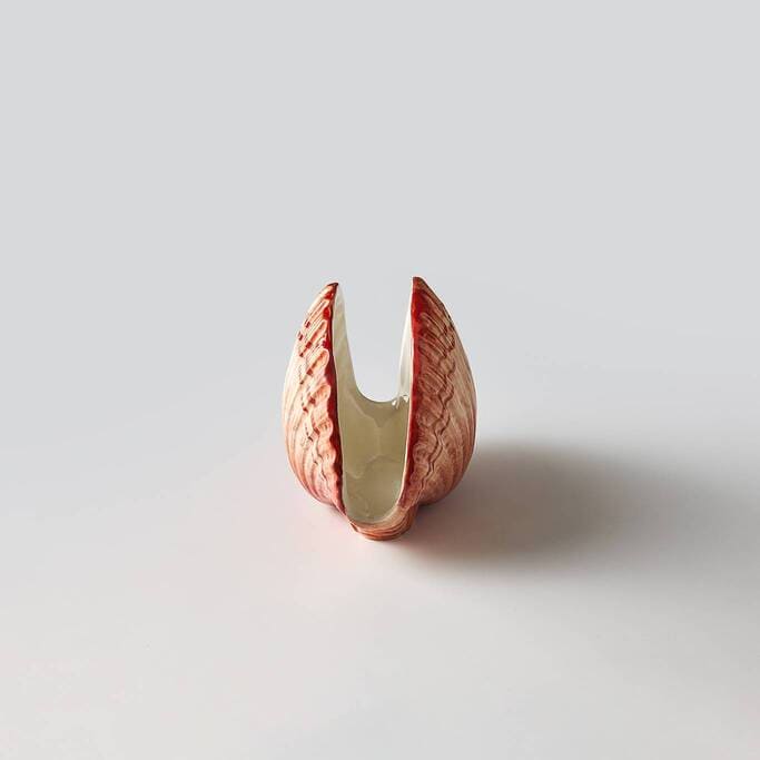 מחזיק מפיות Shell - פיית השולחן