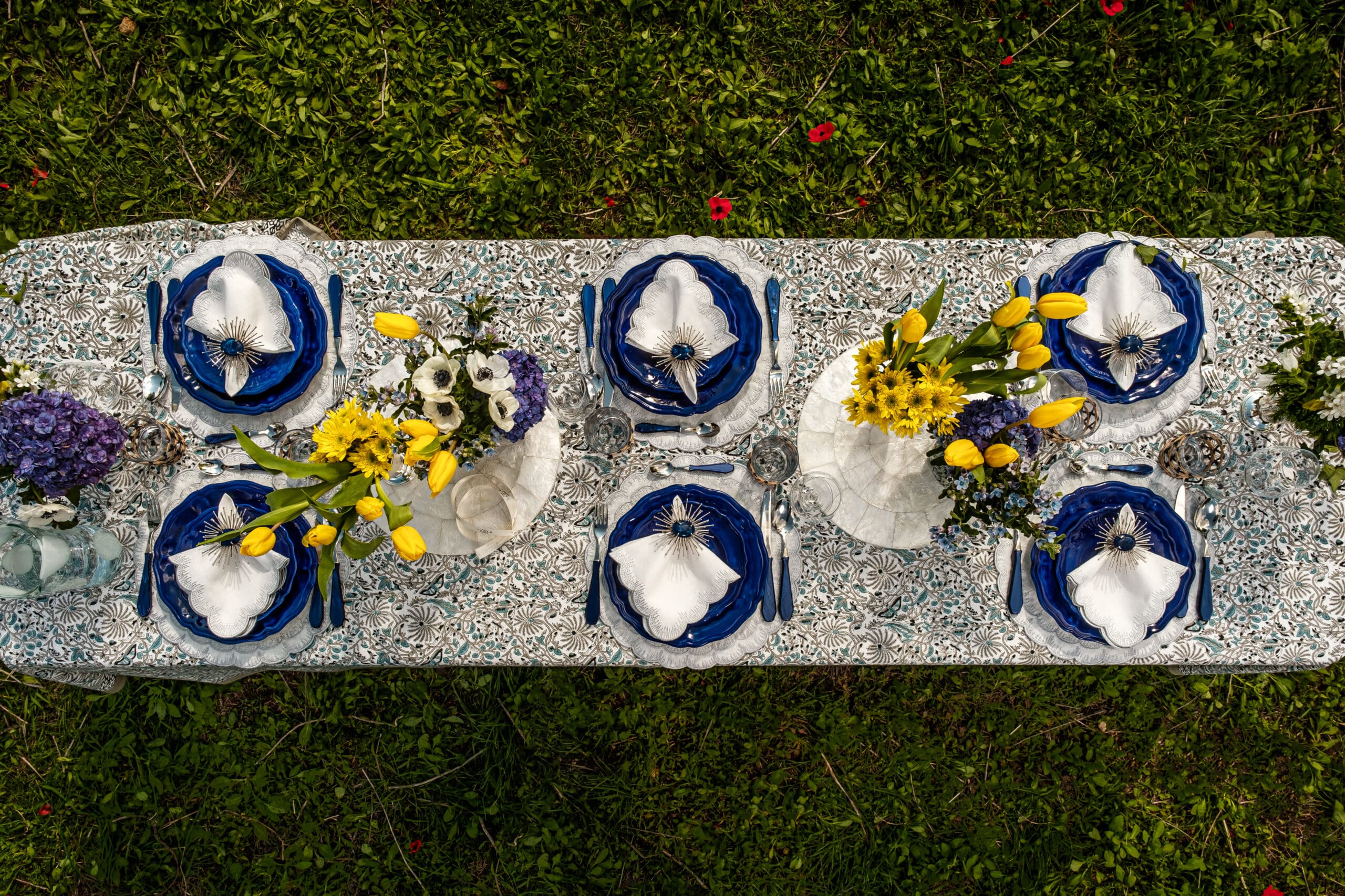 Finn מפית - פיית השולחן