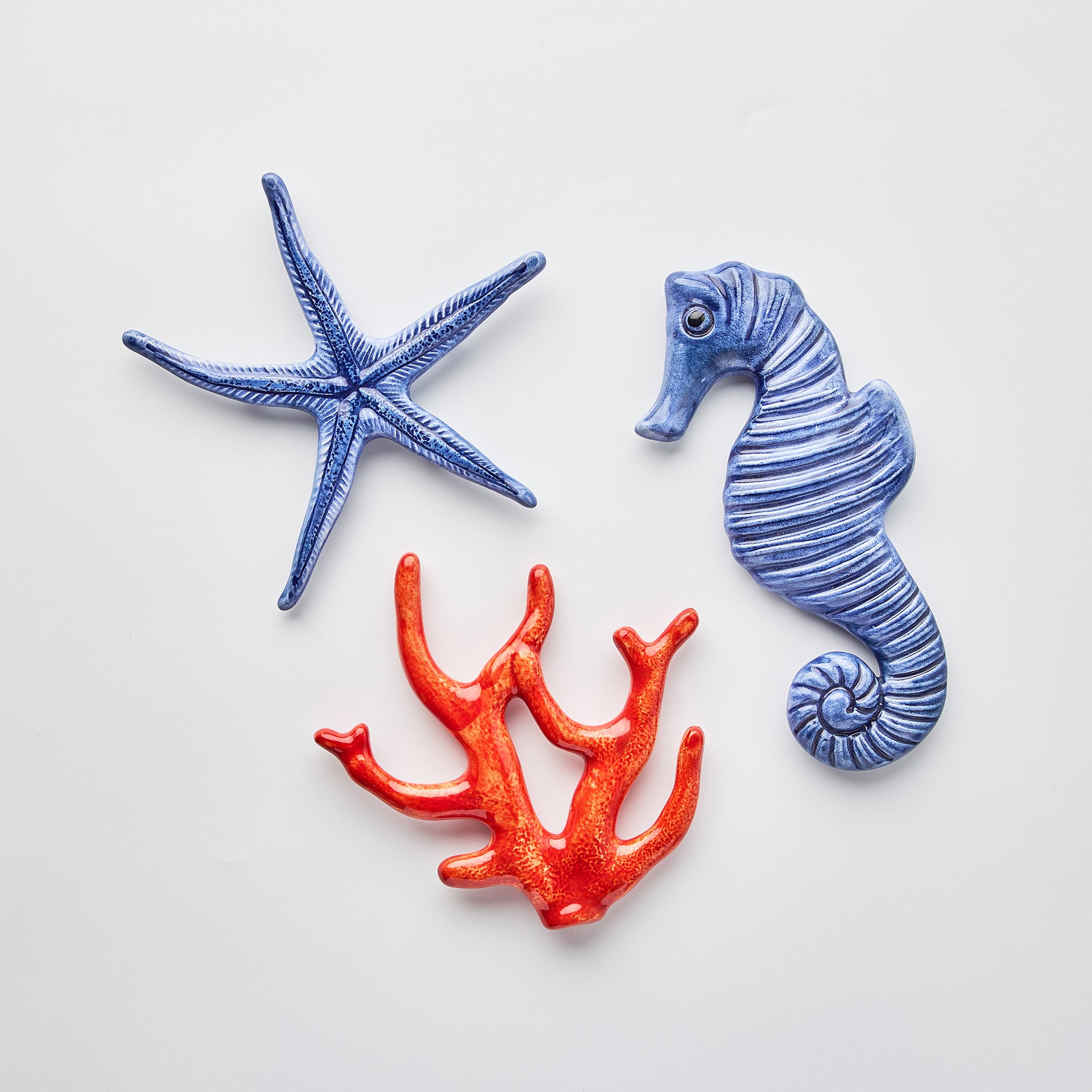 דקורציה לשולחן - כוכב ים כחול