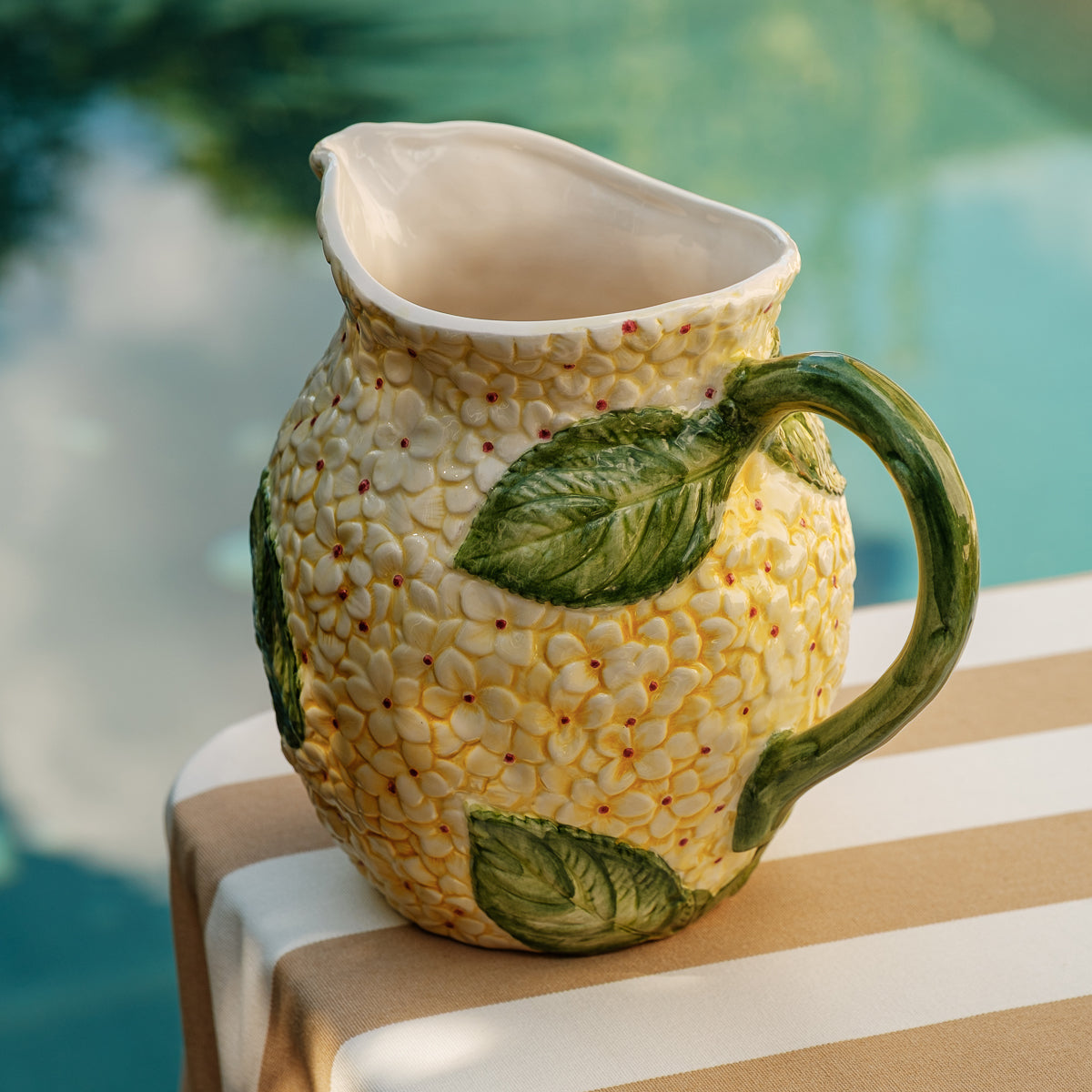 קנקן - הורטנציה שמנת