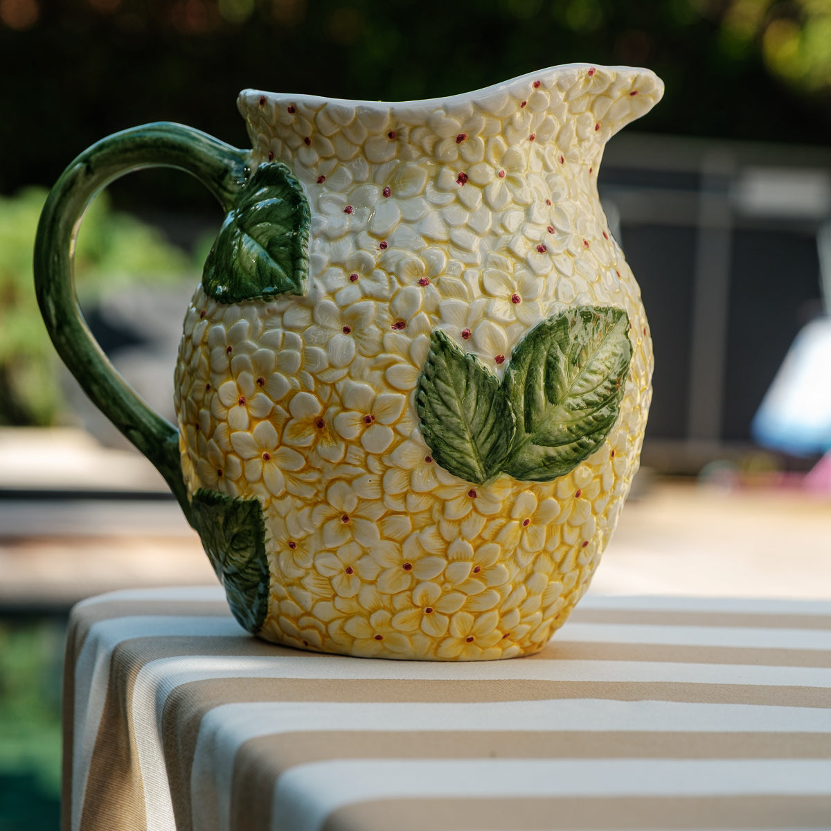 קנקן - הורטנציה שמנת