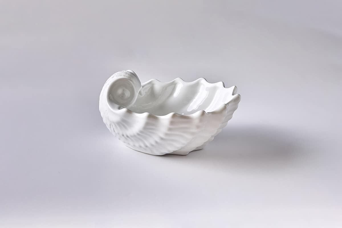 קונכייה קטן לבן - פיית השולחן