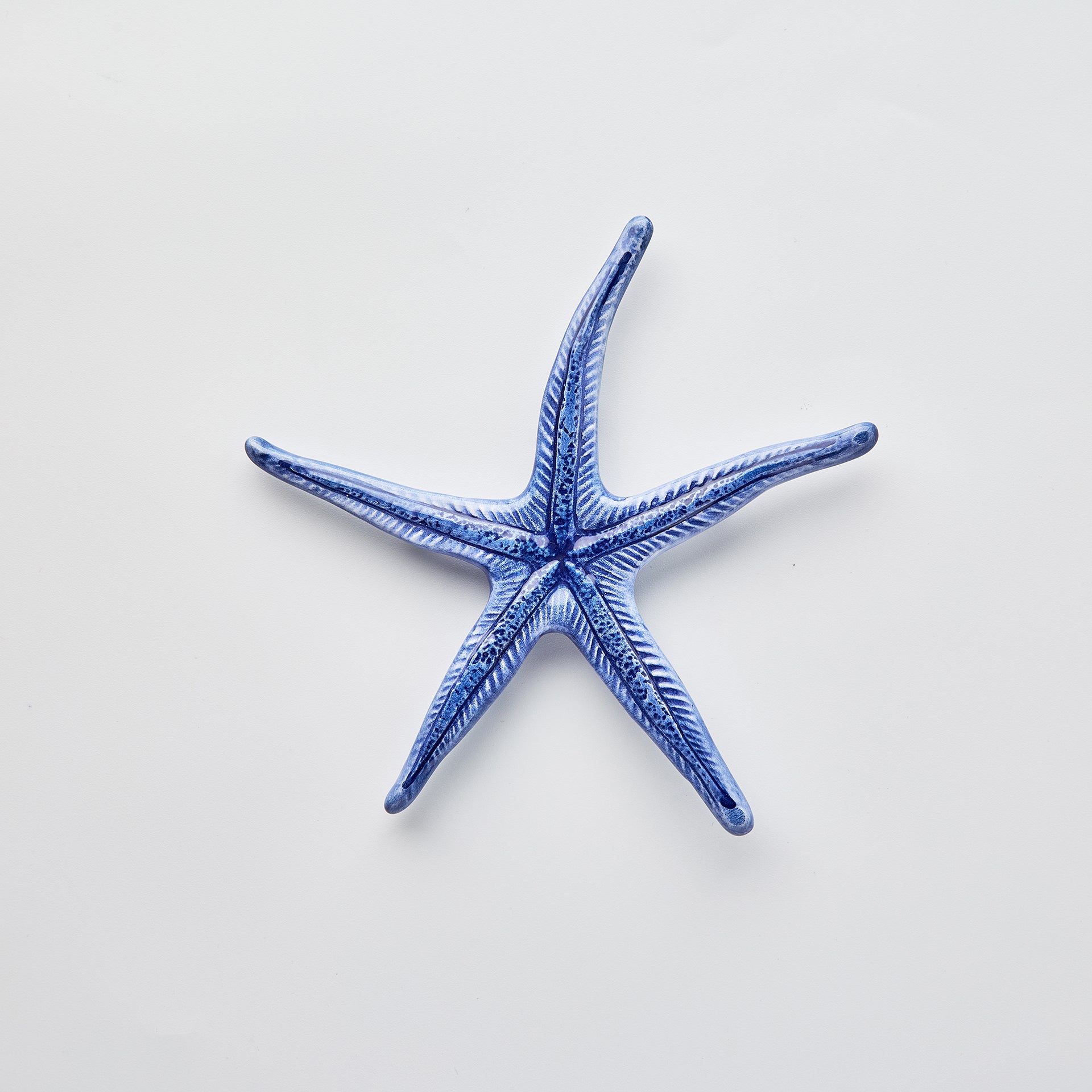דקורציה לשולחן - כוכב ים כחול